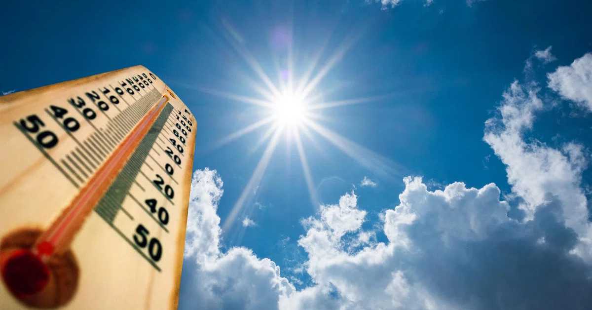 California’s Heat Crisis: Urgent Warning Issued to Public