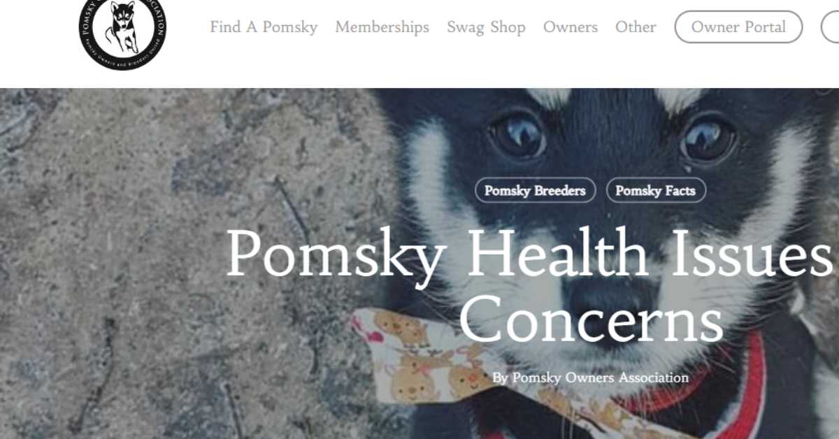 Screenshot of the Pomsky Owners Association