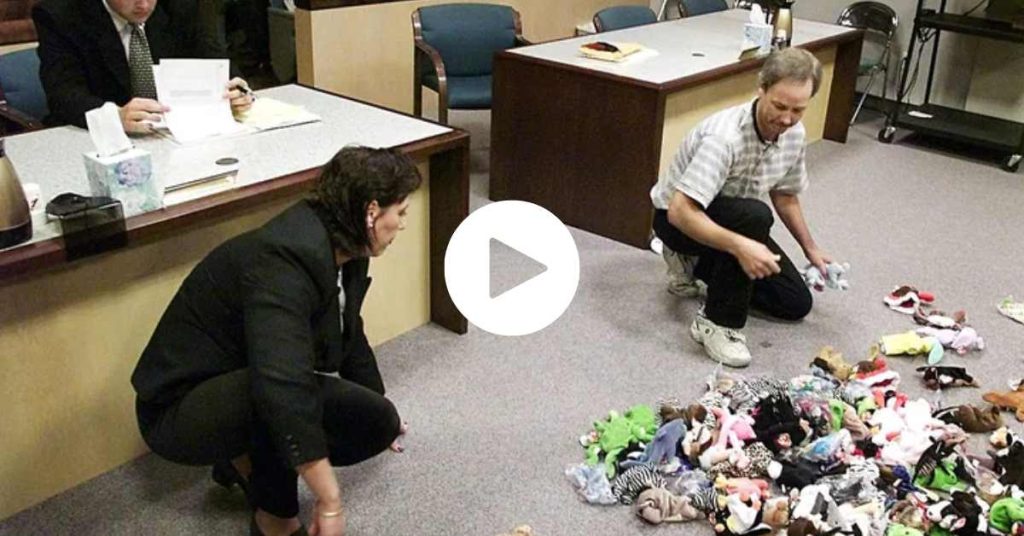 beanie baby divorce