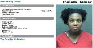 what happened to sharkeisha 2