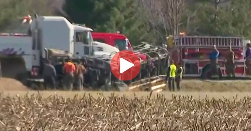 3 children, 2 adults die when Illinois school bus collides with tractor-trailer