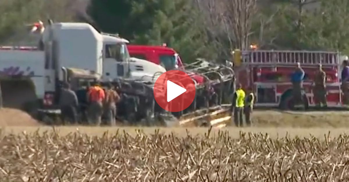 3 Children, 2 Adults Die When Illinois School Bus Collides With Tractor ...