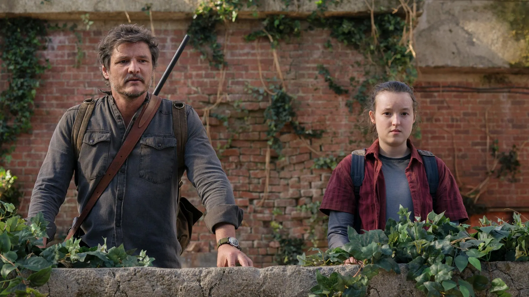 The Last of Us Season 2 Confirmed on Max