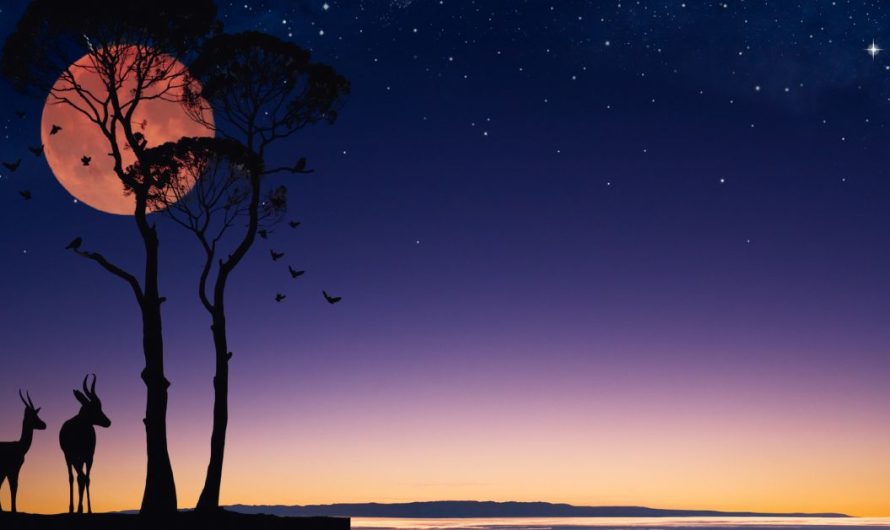 Buck Moon 2025: Why This Summer’s Full Moon Is a Must-See